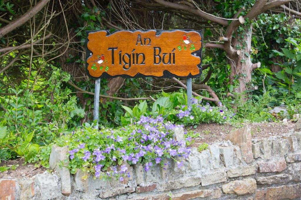 An Tigin Bui Villa Glanbannoo Upper ภายนอก รูปภาพ